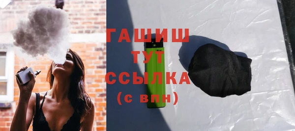 индика Медногорск