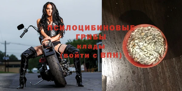 герыч Алексин