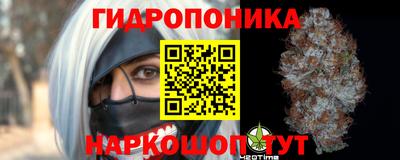 спайс Кинель