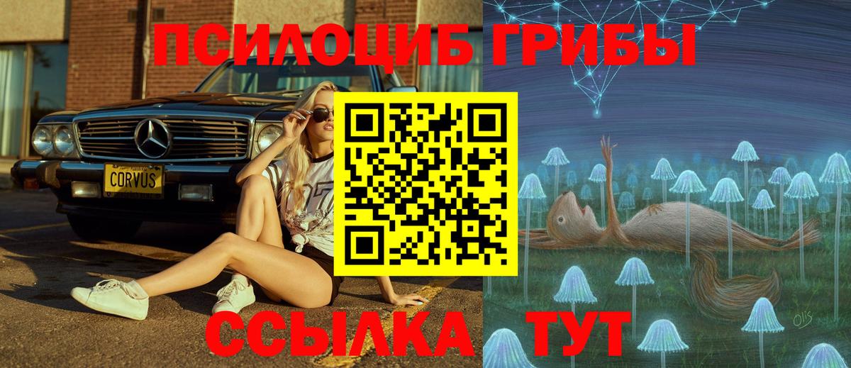 Галлюциногенные грибы MAGIC MUSHROOMS  Галлюциногенные грибы GOLDEN TEACHER  Урюпинск  Вход с VPN 