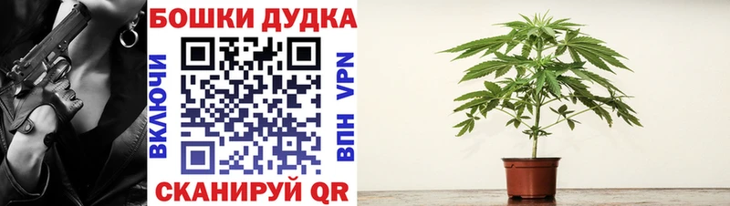 Марихуана план где купить Урюпинск