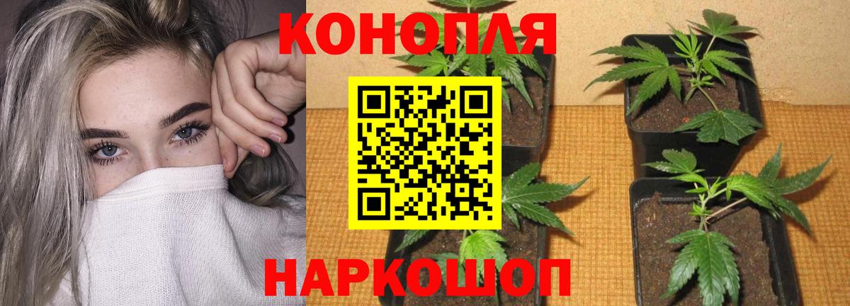 Бошки Шишки OG Kush  Вход с VPN  МАРИХУАНА MAZAR  Канабис ГИДРОПОН  Урюпинск 